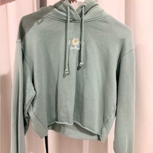 Hollister Daisy Embroidered Crop Hoodie Size Small